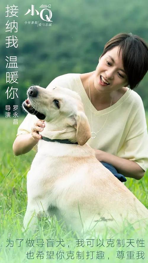甲南女子大学 Computer Science Degree Certificate